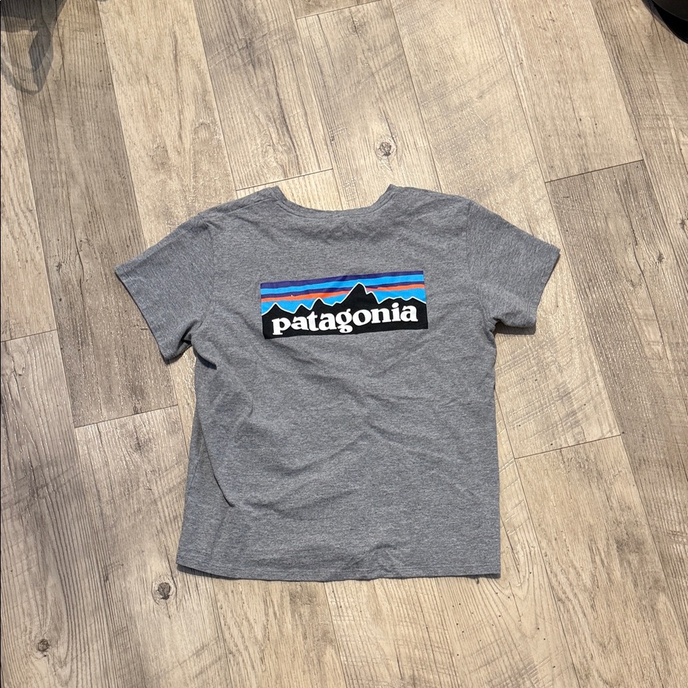 Patagonia Women’s Heather Gray Tee with Multicolor Logo